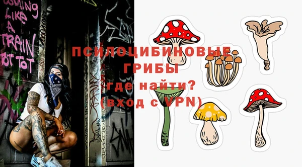 ПСИЛОЦИБИНОВЫЕ ГРИБЫ Пенза