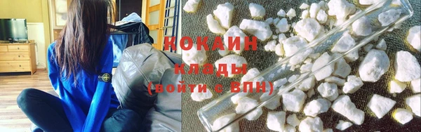 прущие грибы Лиски