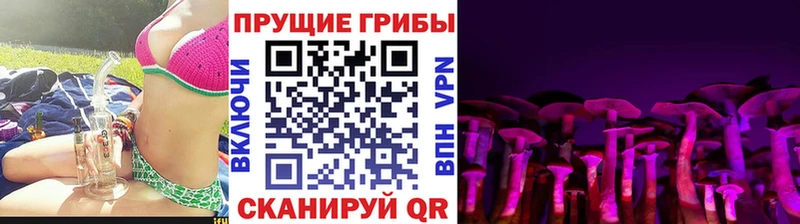 как найти закладки  Грозный  Галлюциногенные грибы прущие грибы 