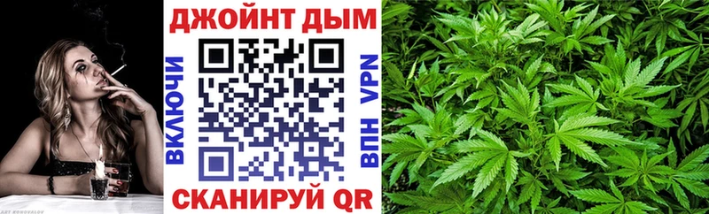 Бошки марихуана конопля  продажа наркотиков  Грозный 